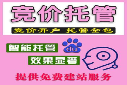案例分享：网络推广竞价策略应用